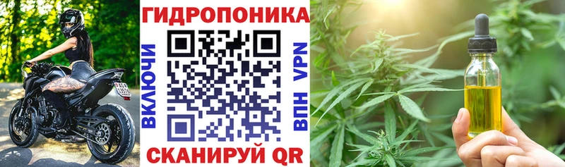 Марихуана сатива  кракен зеркало  Беломорск 